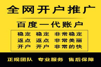 百度竞价赚钱的实战案例分析